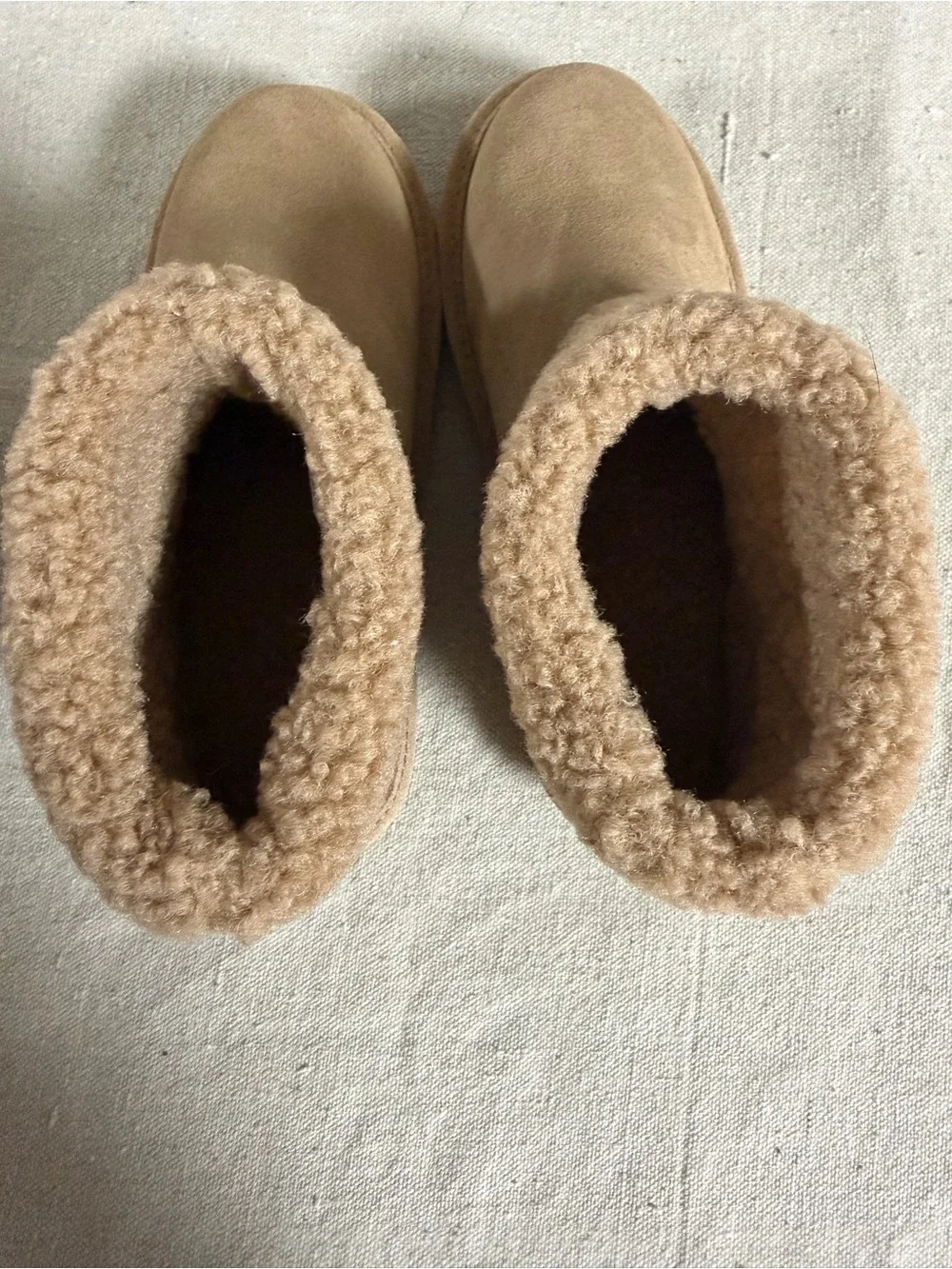 BearPaw cute tan